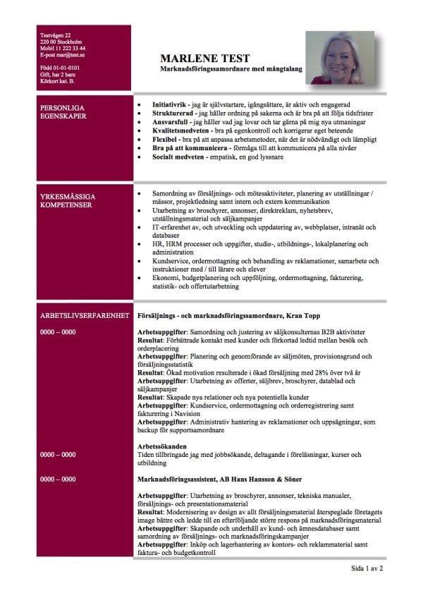 CV funktionellt - med personliga och yrkesmassiga egenskaper - 2 sidor